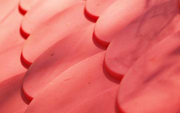 Elphin plastic roof costs