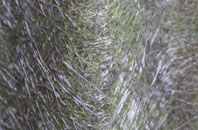 Elphin fibreglass roof work